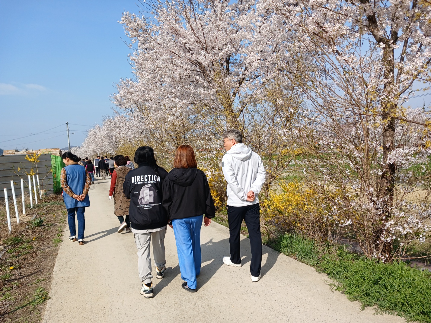 [24.04.08] 작업장 주변 벚꽃산책